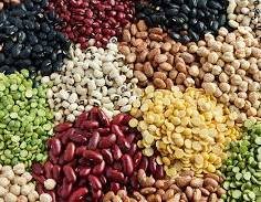 Pulses & Legumes